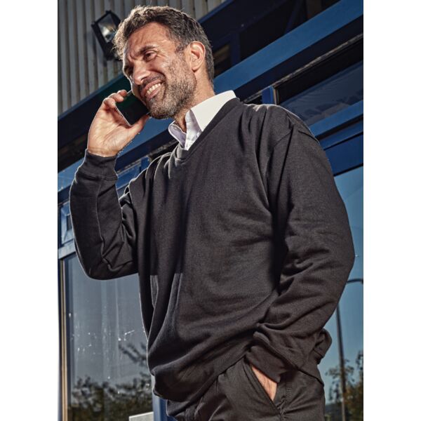 Buzzard V-Neck Sweatshirt Thumbnail